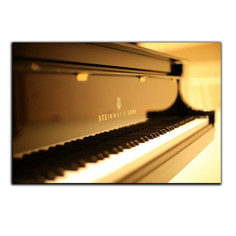 تابلو شاسی بکلیت طرح ساز موسیقی پیانو مدل SH-5956