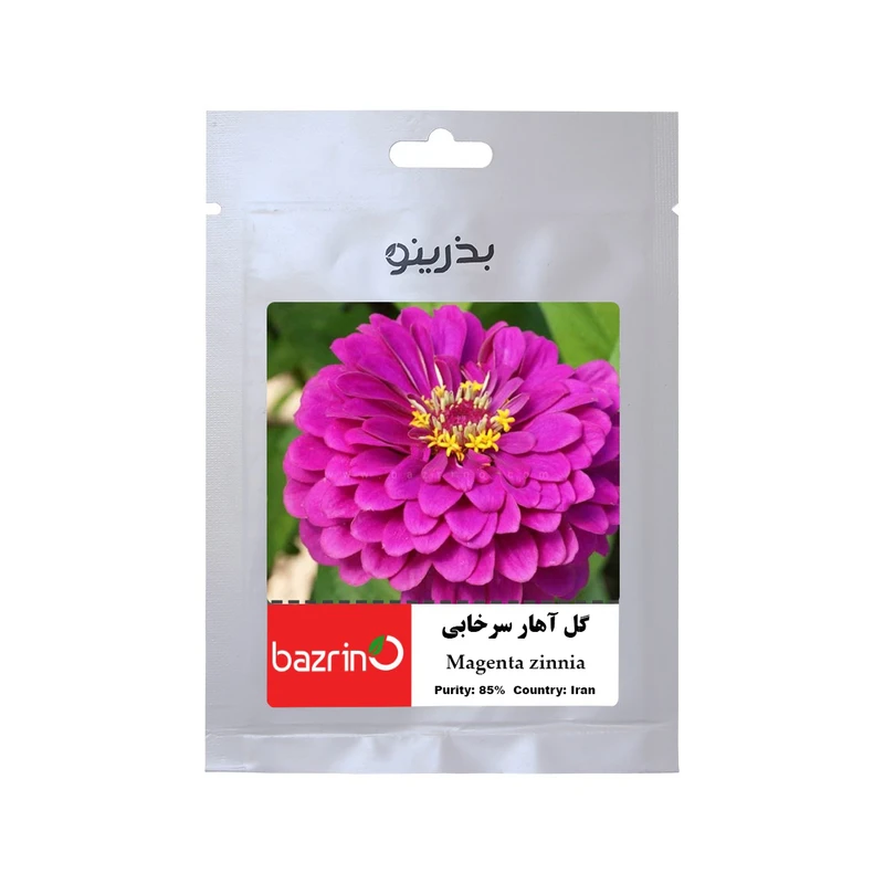 بذر گل آهار پاکوتاه سرخابی بذرینو کد BZNO-003