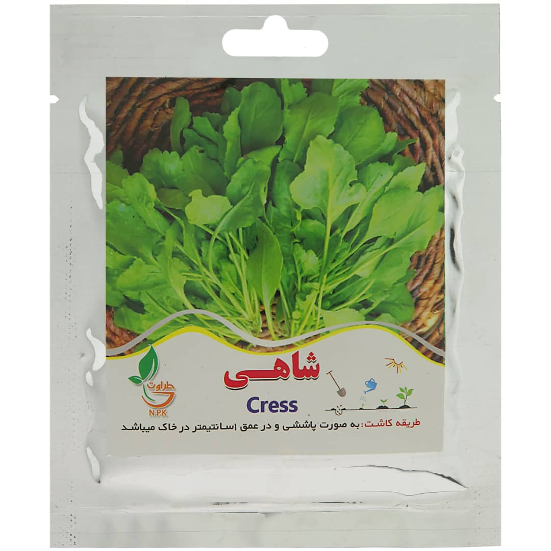 بذر شاهی طراوت کد B25