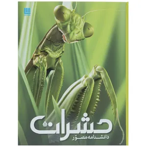 کتاب دانشنامه مصور حشرات اثر لارنس ماوند