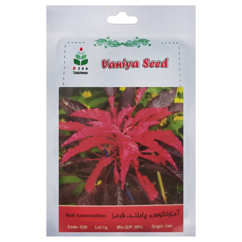 بذر آمارانتوس پابلند قرمز آذر سبزینه مدل O301
