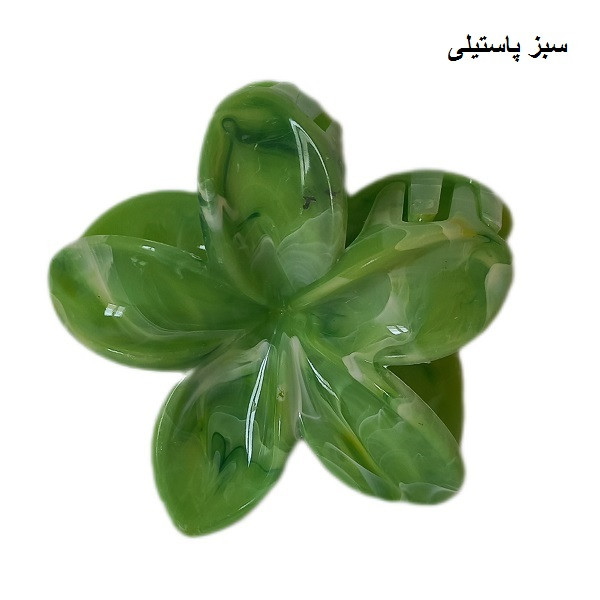 کلیپس مو زنانه 1
