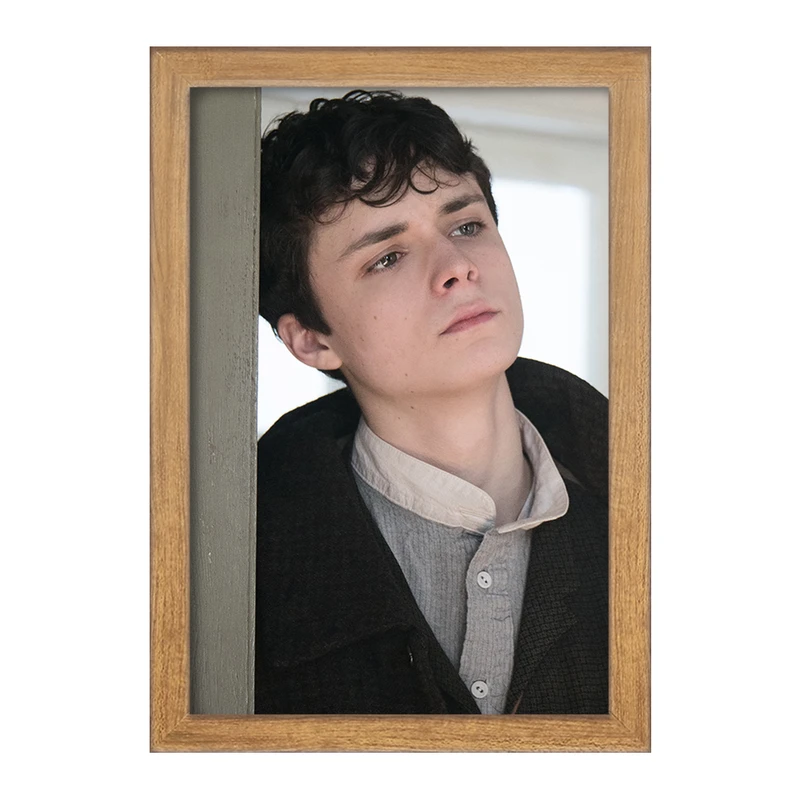 تابلو خندالو مدل گیلبرت سریال آنشرلی کد 28980