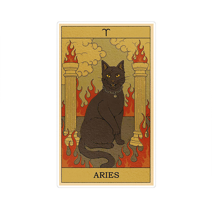 استیکر تزئینی موبایل و تبلت ماسا دیزاین مدل NW027