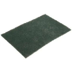 1117 Scouring Pad