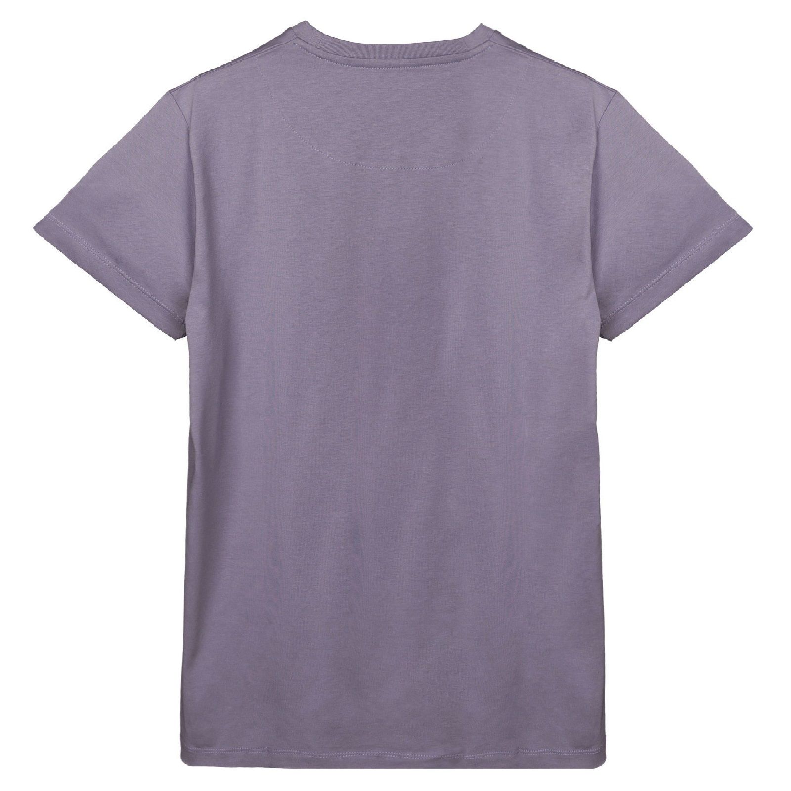 تی شرت آستین کوتاه مردانه مدل Sb-M-vk98 -  - 2