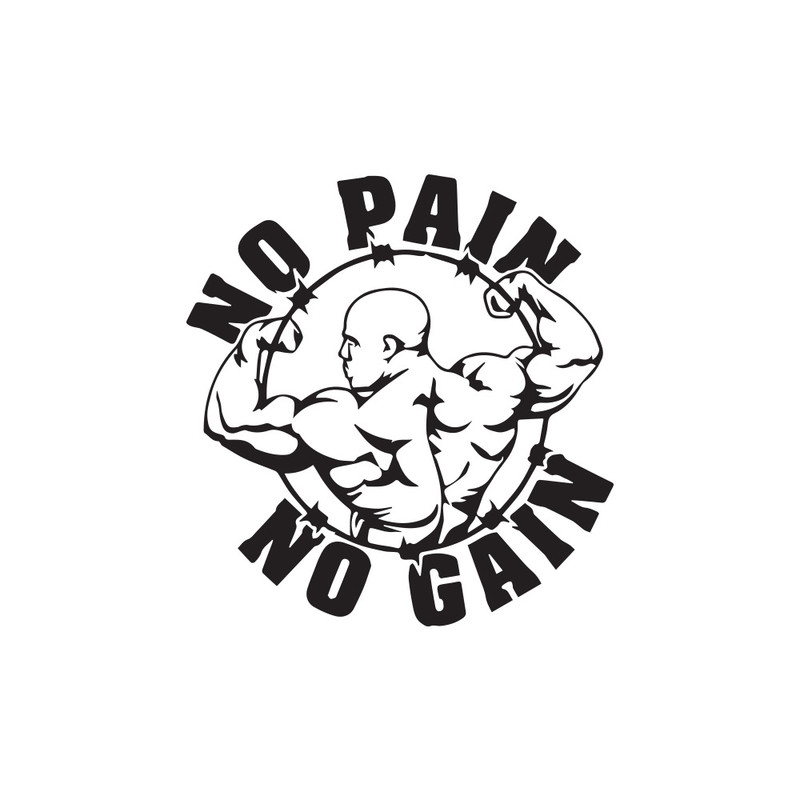 برچسب بدنه خودرو گراسیپا طرح no Pain مدل 03