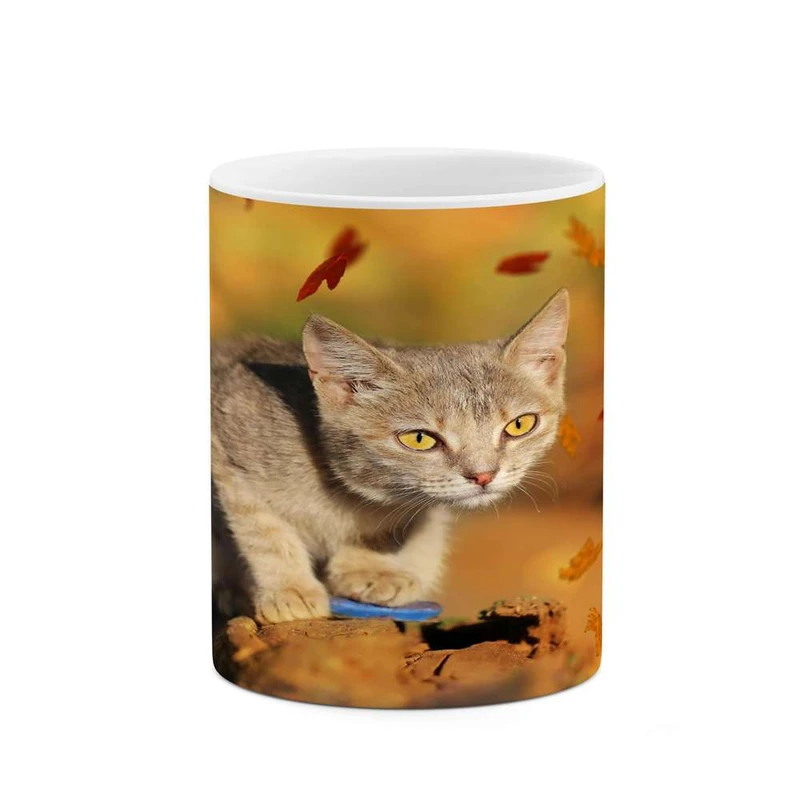 ماگ کاکتی مدل گربه کد mgh14535