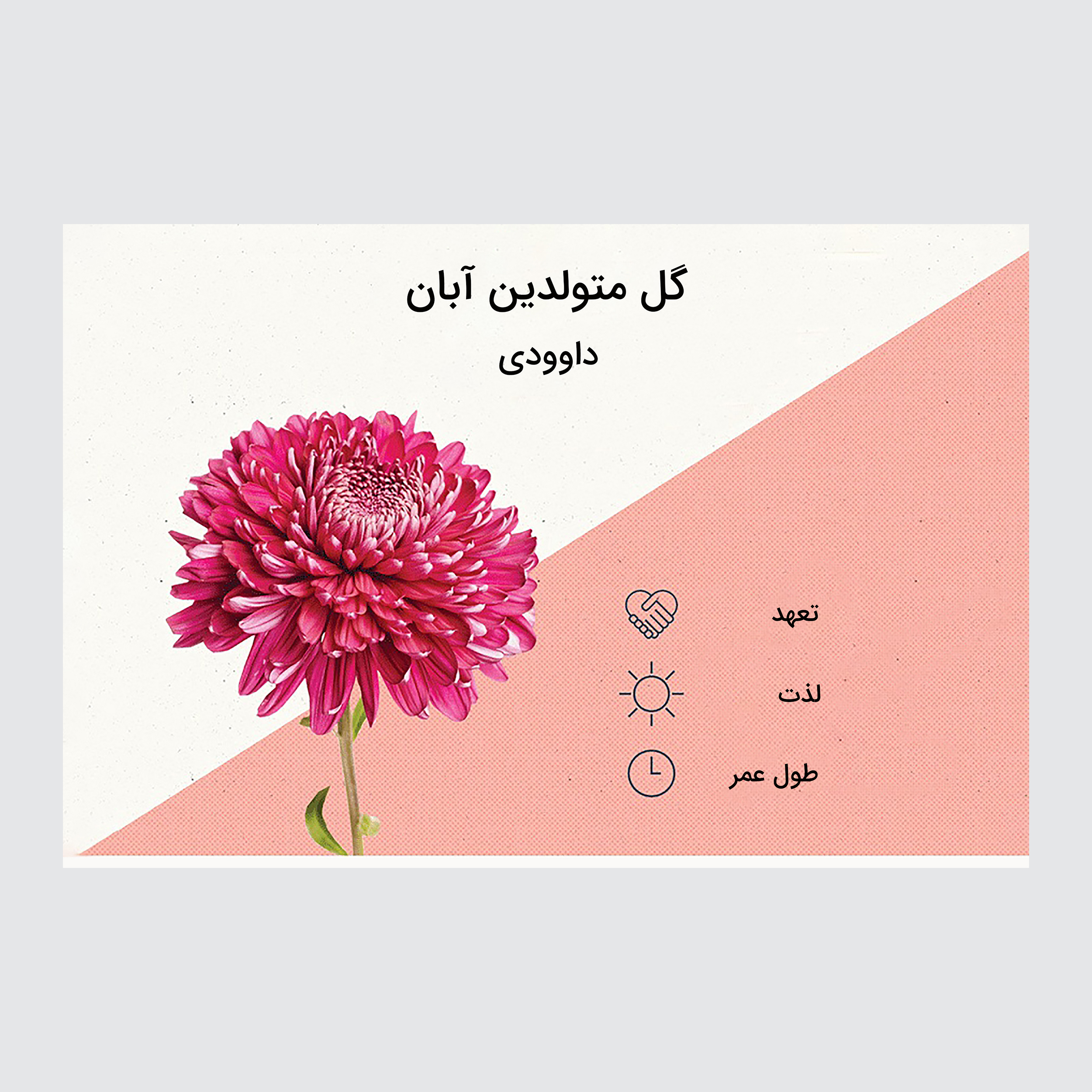 کارت پستال ماهتاب مدل گل ماه تولد آبان کد 2100