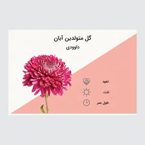 کارت پستال ماهتاب مدل گل ماه تولد آبان کد 2100