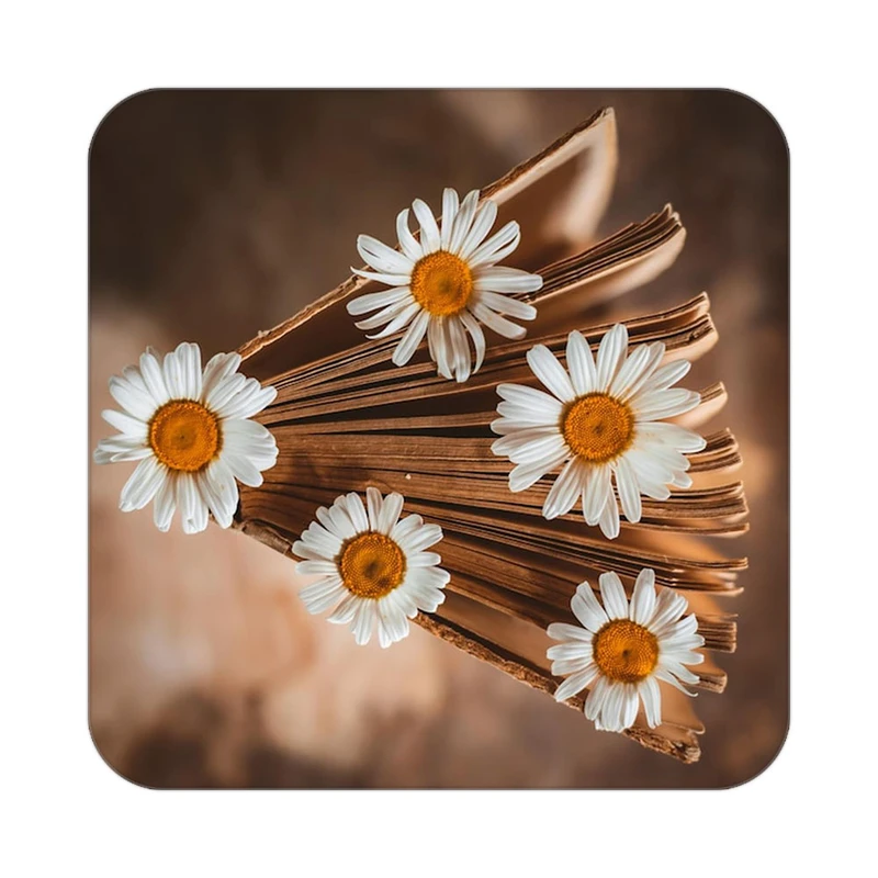 زیر لیوانی کاکتی طرح گل مدل mp18193