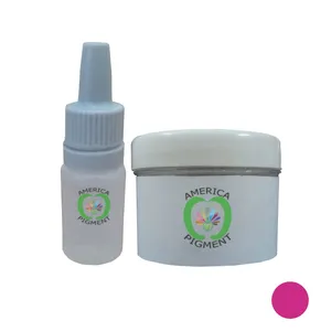 رژلب مایع آمریکاپیگمنت مدل shineladies 20 و پودر رنگی رژ آمریکاپیگمنت مدل 01