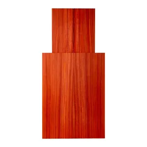 چوب گیتار مدل رز پادوک بسته 4 عددی 