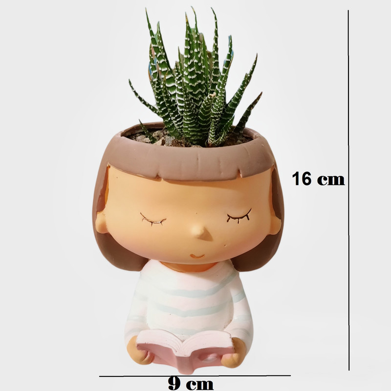 گیاه طبیعی هاورتیا گورخری مدل دختر کتاب خوان