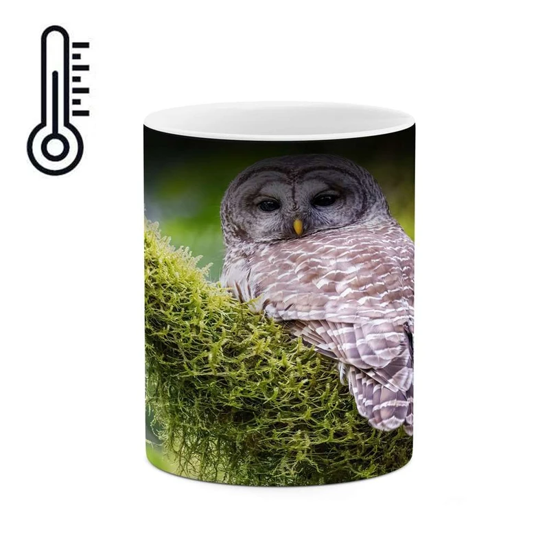 ماگ حرارتی کاکتی مدل جغد کد mgh14599