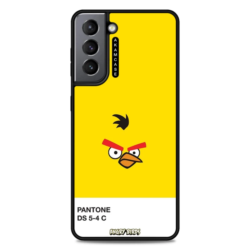کاور آکام مدل AMC-WSGS21-ANGRY BIRDS14 مناسب برای گوشی موبایل سامسونگ Galaxy S21