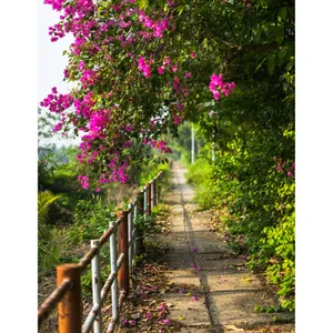 پوستر دیواری مدل NS 1681