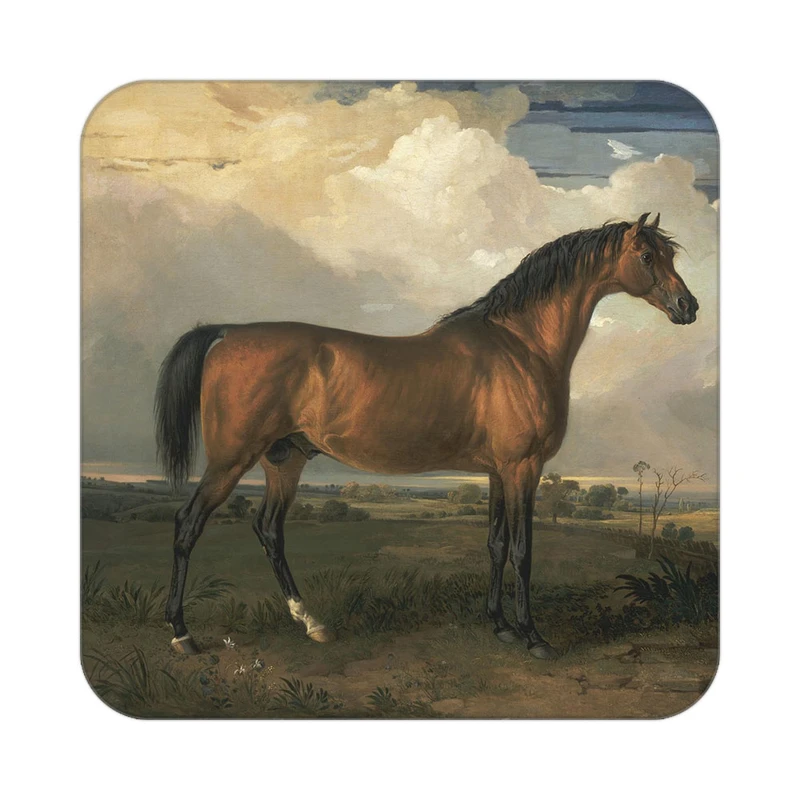 زیر لیوانی کاکتی طرح نقاشی رنگ روغن مدل mg10025