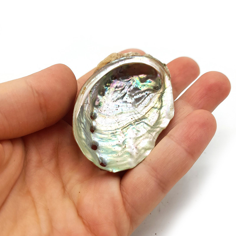 عود دستساز آلاکیک مدل تیتان