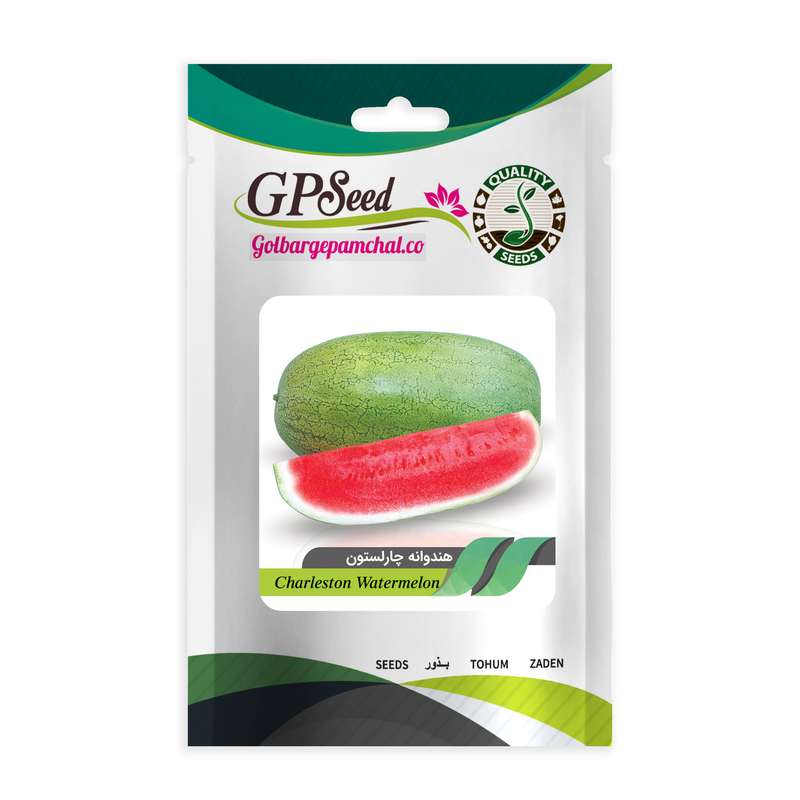 بذر هندوانه چارلستون جی پی سید مدل GP2146 بذر هندوانه چارلستون جی پی سید مدل GP2146