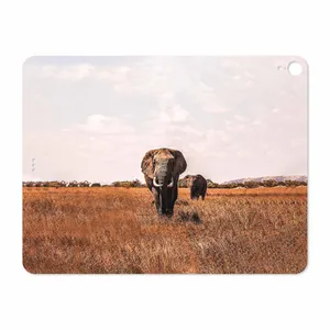 MAHOOT Elephant Cover Sticker for Apple iPad Pro 12.9 GEN 3 2018 A2014
