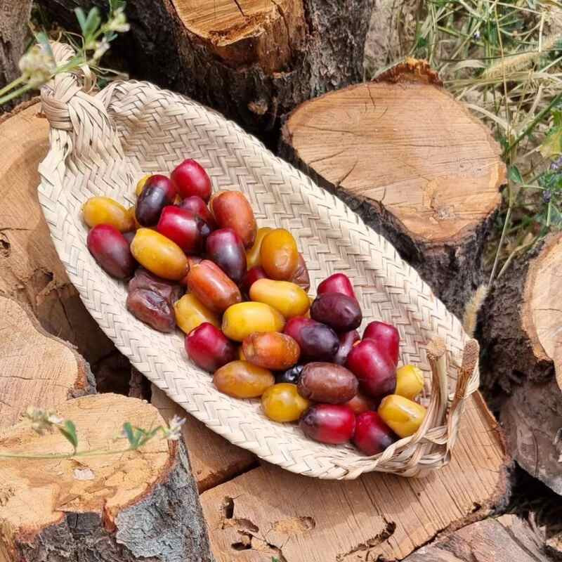 سبد حصیری طرح قایق