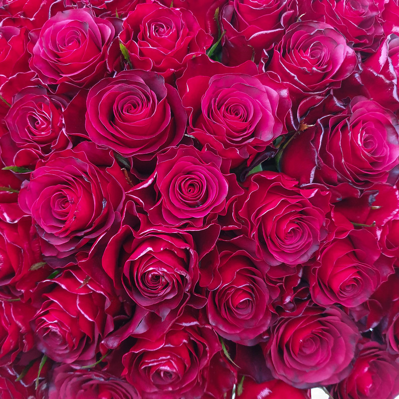 دسته گل رز کد DG-11003