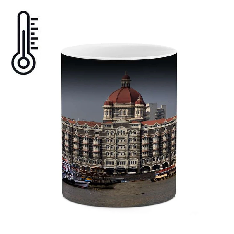 ماگ حرارتی کاکتی مدل شهر کد mgh13324