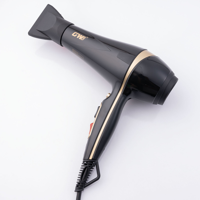 سشوار حرفه ای جی دبلیو مدل X10