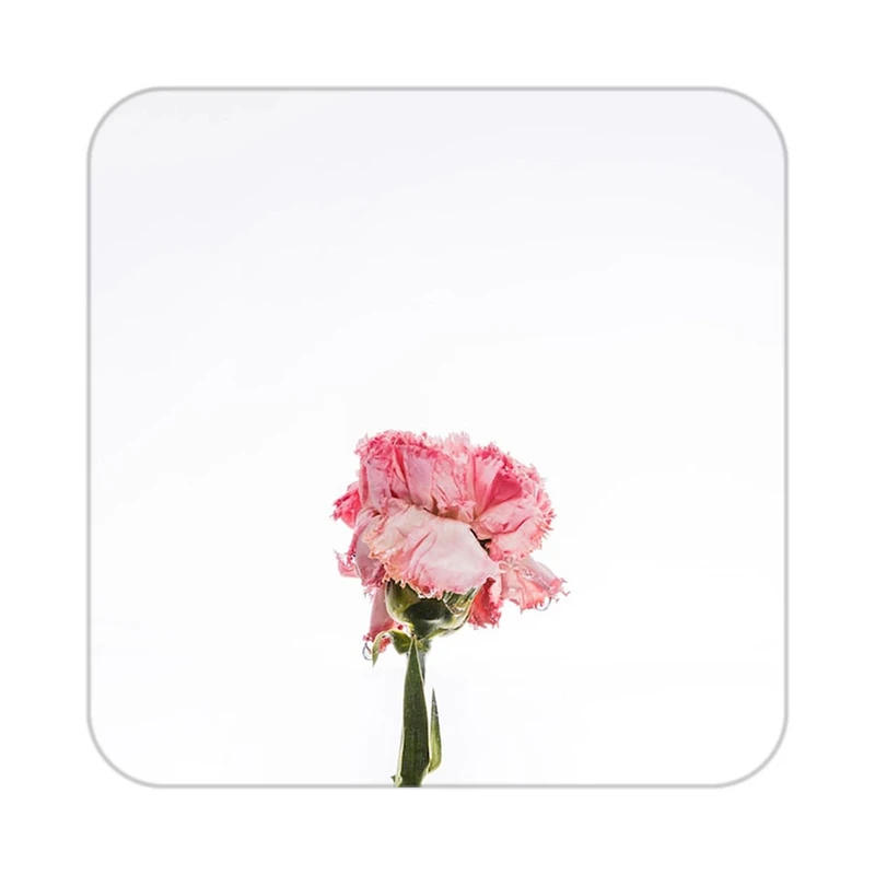 زیر لیوانی کاکتی طرح گل مدل mp18359