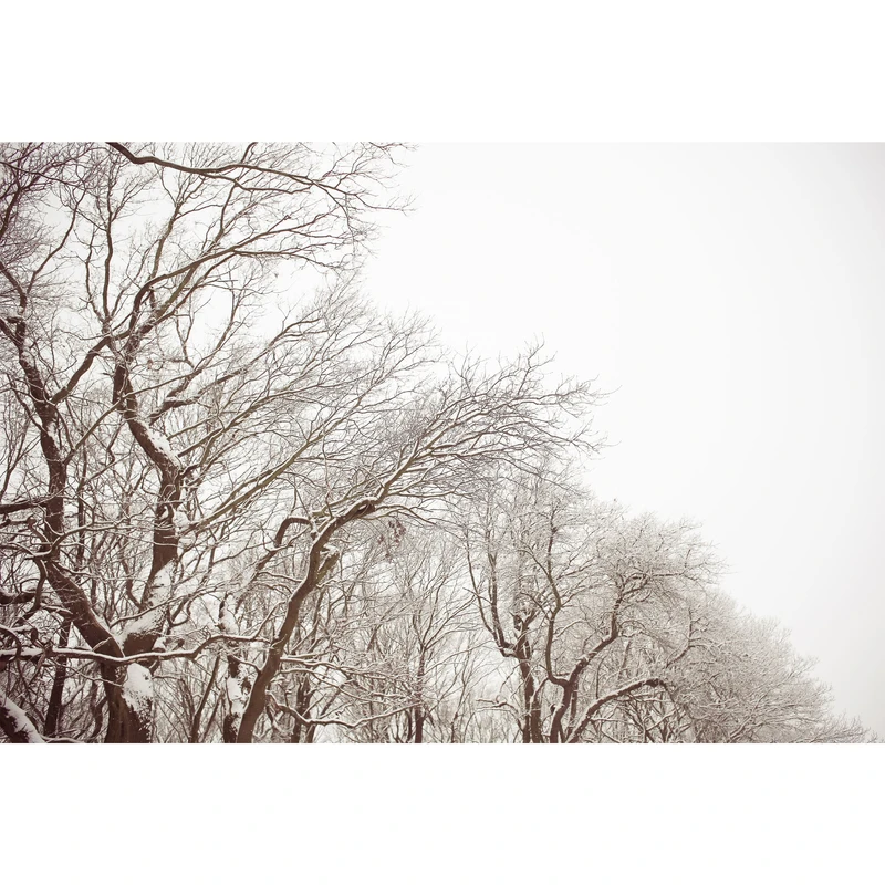 تابلو شاسی طرح منظره زمستان و برف و درخت مدل T1936