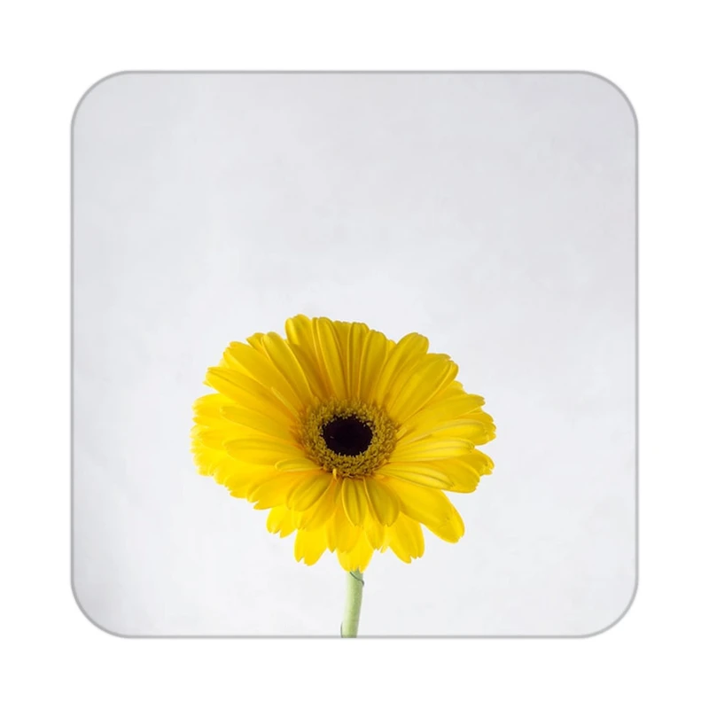 زیر لیوانی کاکتی طرح گل مدل mp19811