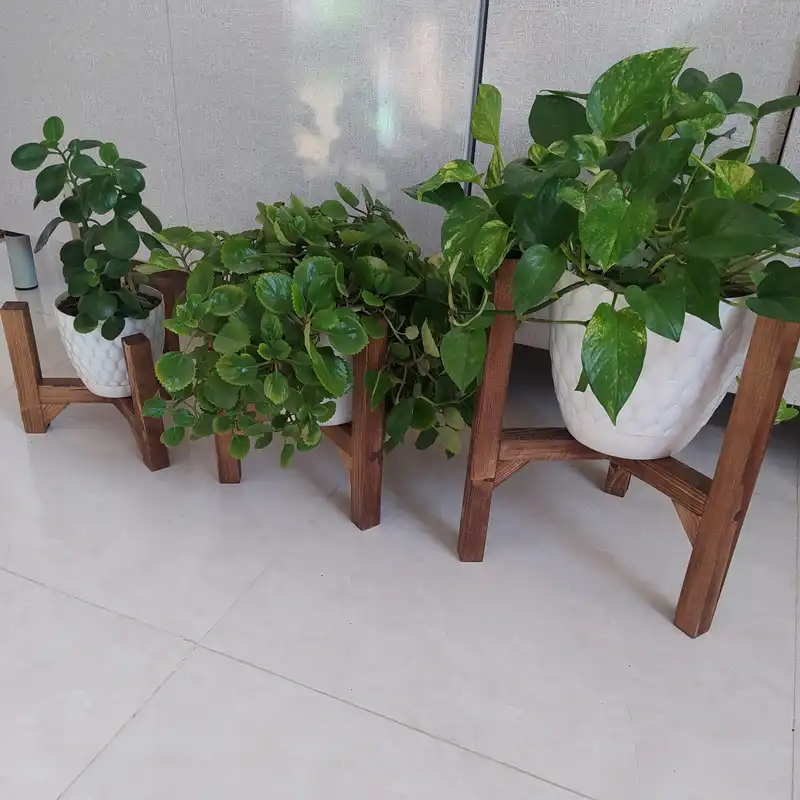 استند گلدان مدل M12