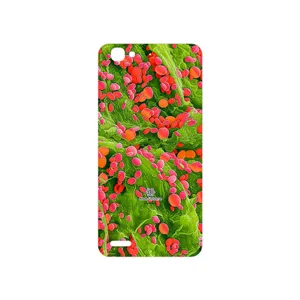 MAHOOT Atom Universe 3 Cover Sticker for Huawei GR3