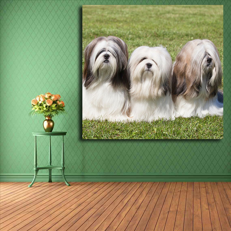 تابلو شاسی مدل سگ کد 12