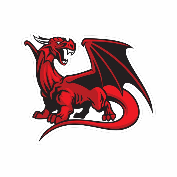 برچسب بدنه موتور سیکلت طرح اژدها کد 160