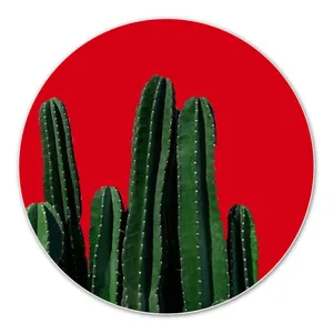 استیکر آکام مدل AS0001815