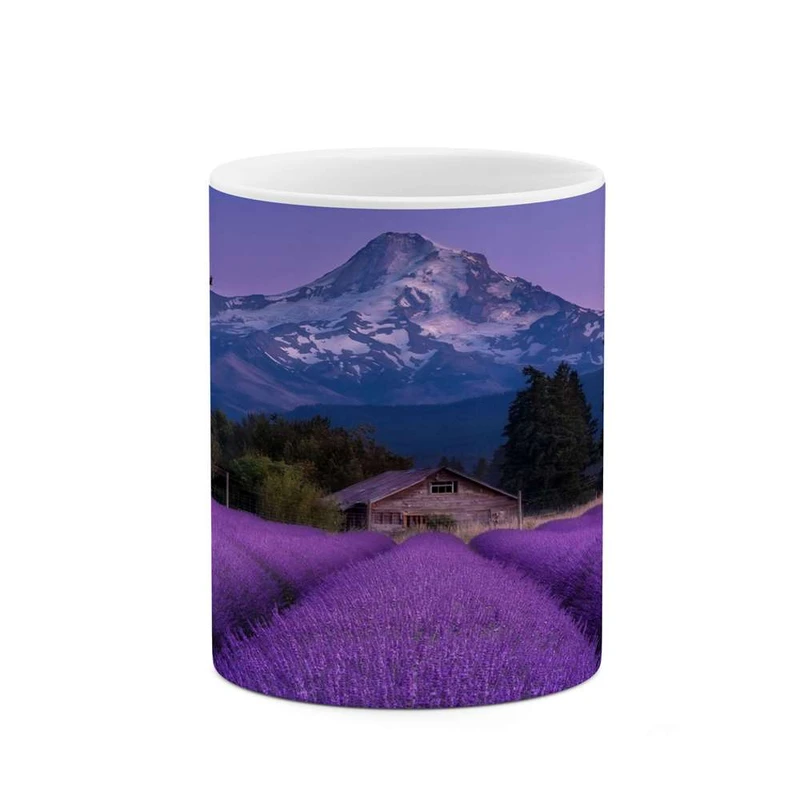 ماگ کاکتی مدل منظره کد mgh14467