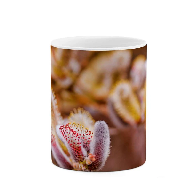 ماگ کاکتی مدل گل کد mgh12003