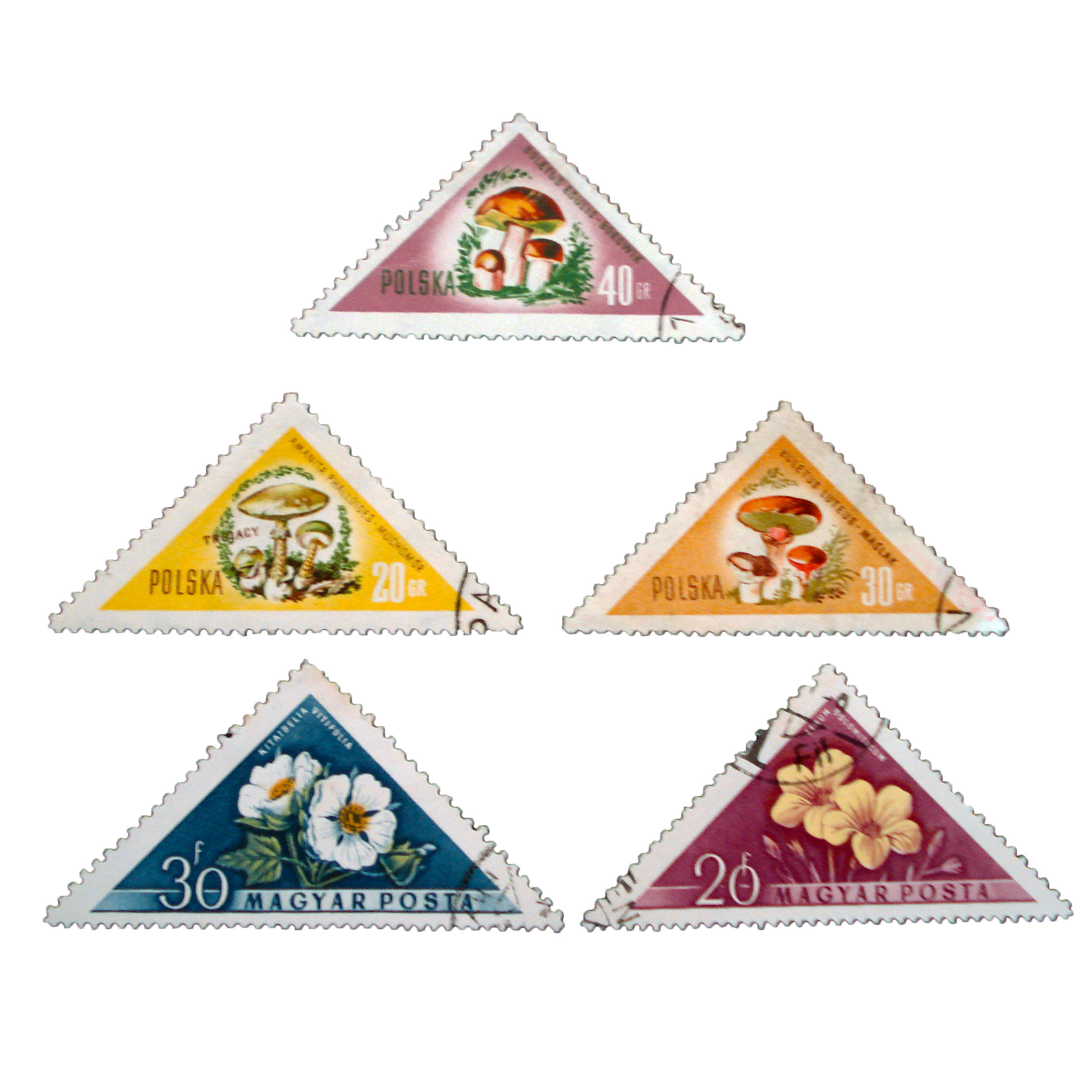 تمبر یادگاری مدل گل کد bc-1493 مجموعه 5 عددی