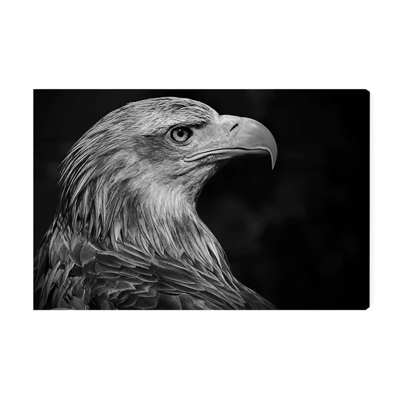 تابلو شاسی عرش مدل فانتزی عقاب کد As3274