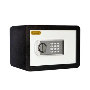 صندوق گنج بان مدل 25-Cf
