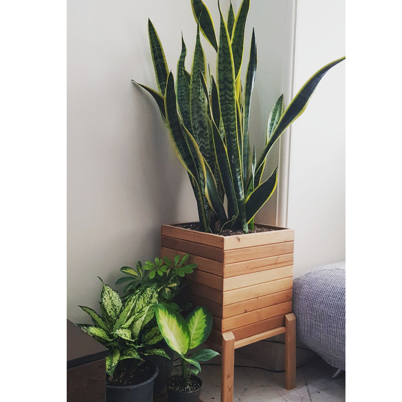 گلدان مدل چوبی کد 3232r8