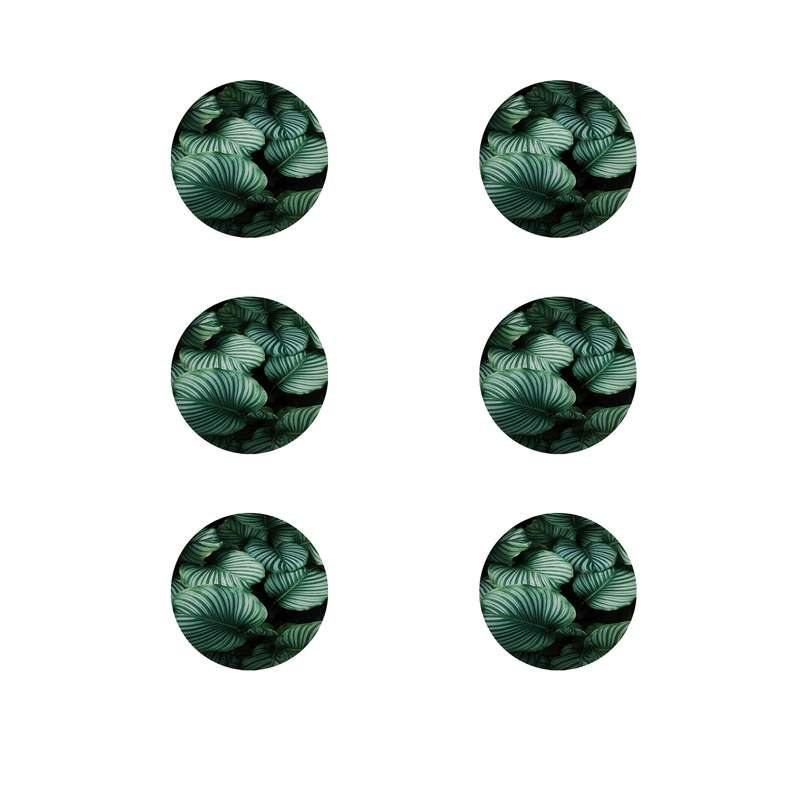 زیر لیوانی طرح گلبرگ کد 8535 بسته 6 عددی زیر لیوانی طرح گلبرگ کد 8535 بسته 6 عددی