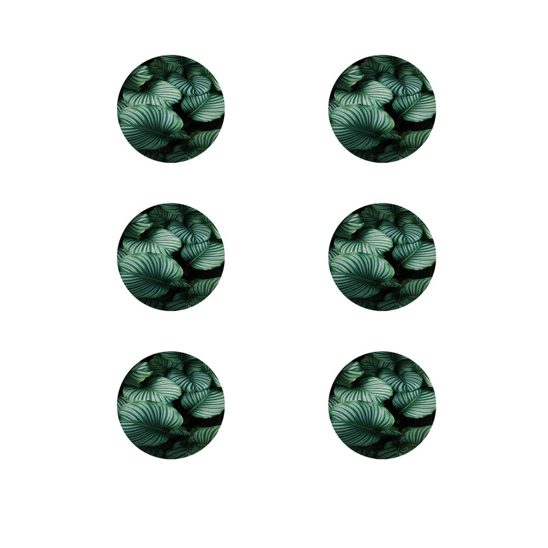 زیر لیوانی طرح گلبرگ کد 8535 بسته 6 عددی زیر لیوانی طرح گلبرگ کد 8535 بسته 6 عددی
