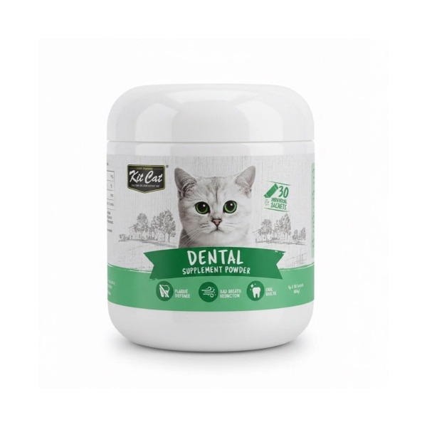 پودر مکمل گربه کیت کت مدل سلامت دهان و دندان وزن ۱۵۰ گرم