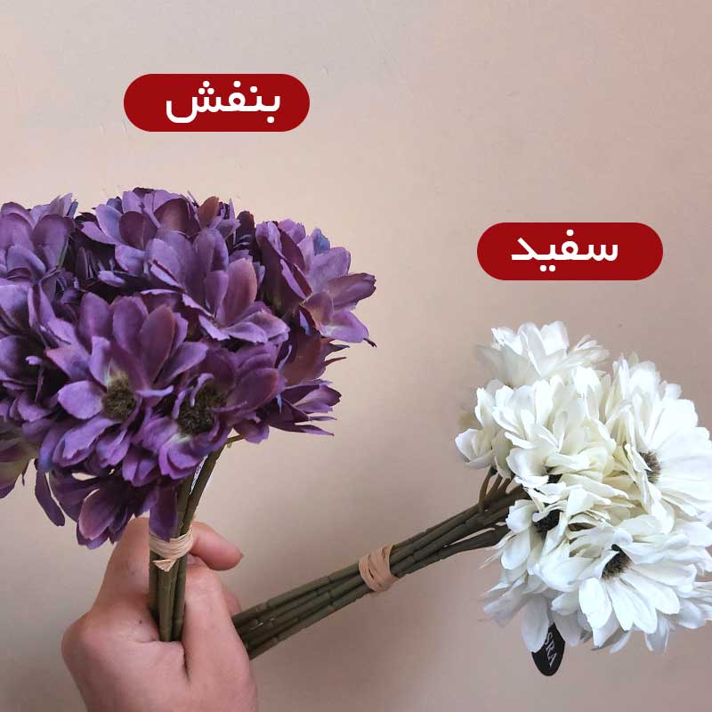 عکس شماره 3