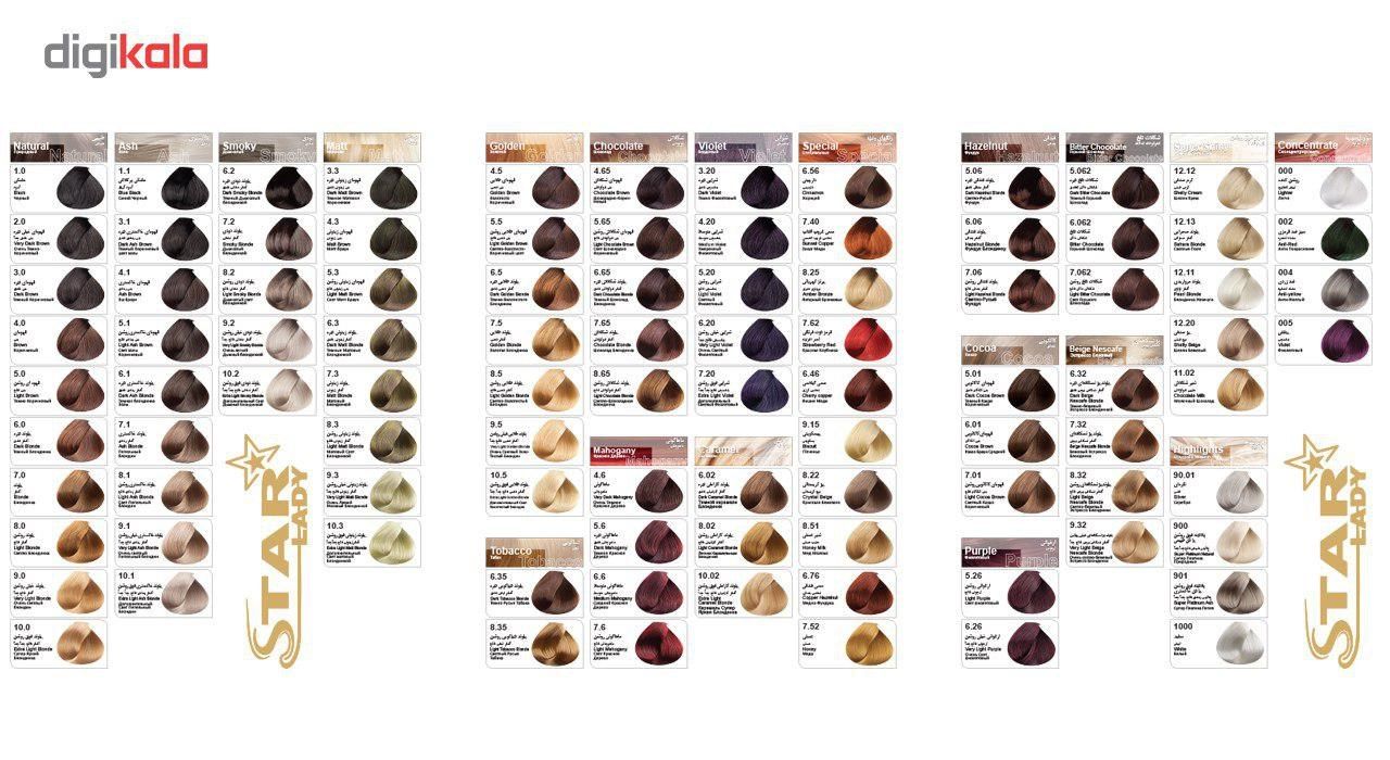 کیت رنگ استارلیدی سری Ash مدل Dark Ash Brown شماره 3.1 main 1 5