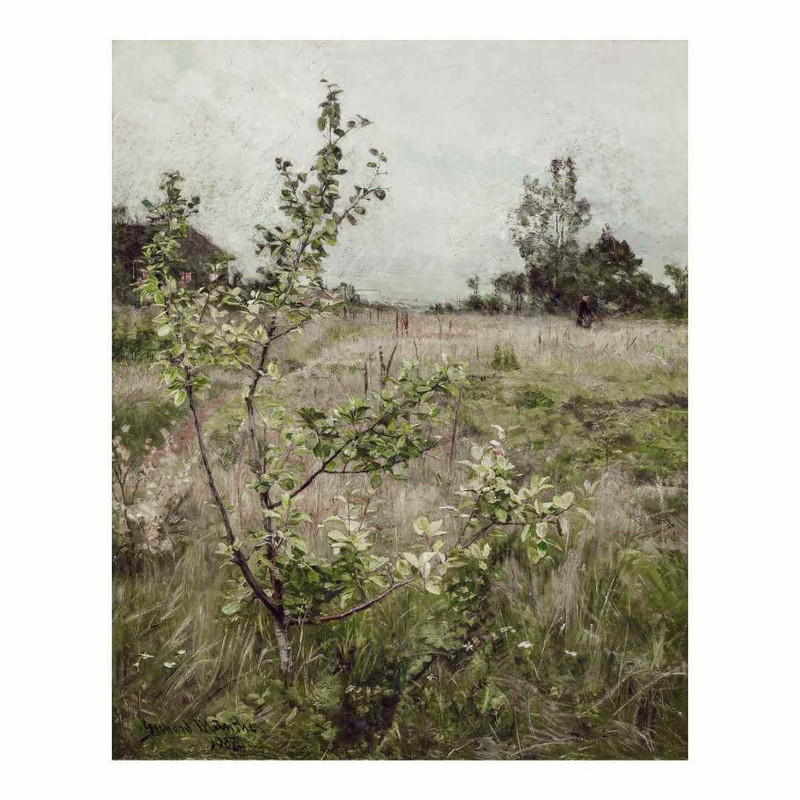 پوستر مدل مزرعه گلها 