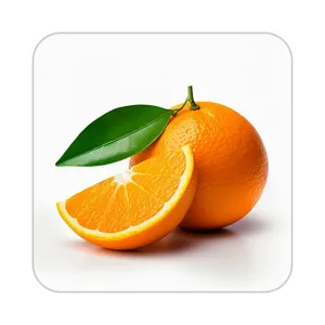 زیر لیوانی کاکتی طرح میوه مدل mp21666